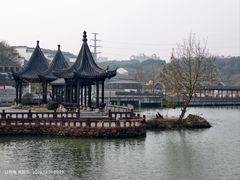 -八大山人梅湖景区
