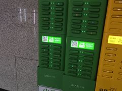 -金银湖国家城市湿地公园