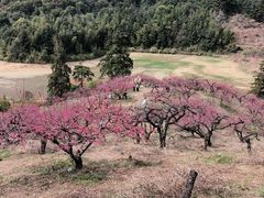 -象头山国家级自然保护区