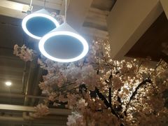 大堂-Ours树朵家亲子餐厅(远策中心店)