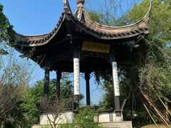 -鹅湖玫瑰文化园