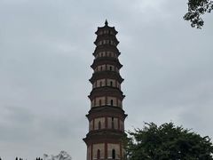 -广州莲花山旅游区