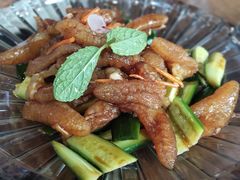 凉拌海蜇-双合园·海鲜水饺青岛菜(万佳广场店)