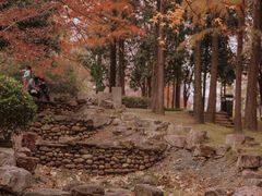 -月湖风景区