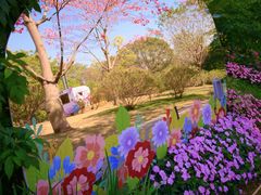 -云溪植物园