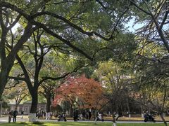 -苏州大学(天赐庄校区)
