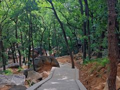 -沂蒙山旅游区龟蒙景区