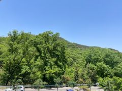 -老张烤羊(王哥庄店)