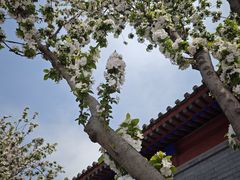 -北京鲁迅博物馆(北京新文化运动纪念馆鲁博馆区)
