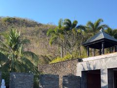 -日落吧·海景咖啡厅·餐酒吧·鸡尾酒·下午茶·乐队表演·浪漫夕阳·三亚文华东方酒店