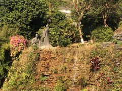 -广州神农草堂中医药博物馆