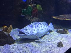 -石林冰雪海洋世界