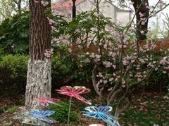 -高东镇樱花园