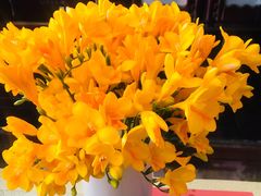 -世纪同乐绿地世纪城二期