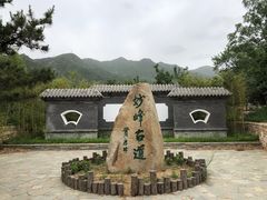 -阳台山自然风景区