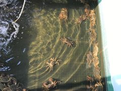 -苏州吴中太湖旅游区