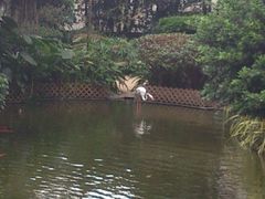 -九龙公园
