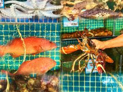 -范饭椰林川湘味海鲜·椰子鸡(三亚湾椰梦长廊店)