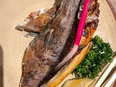 六线鱼-伊藤ITO(侨福芳草地购物中心店)