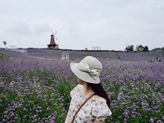 -大塘金香草谷