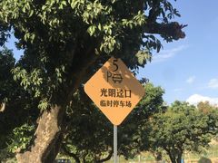 -光明小镇欢乐田园