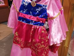 -迪士尼乐园停车场