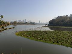 -月湖风景区