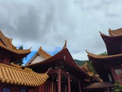 -深圳仙湖植物园