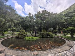 -莫里热带雨林景区
