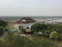-大湾区中央湿地公园