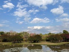 -中国科学院西双版纳热带植物园