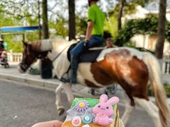 -J Create城市露营咖啡·简餐·宠物(上海动物园店)