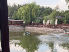 -尚庄度假村·庭台树下·户外烧烤·团建CS·轰趴营地(上庄水库店)