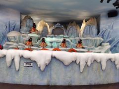 -帝企鹅自助餐厅•儿童岛•真企鹅(长隆企鹅酒店)