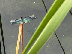 -苏州太湖湖滨国家湿地公园