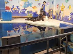 -太平洋海底世界