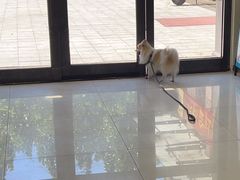 -天宠宠物医院24小时·急重症诊疗中心·全科·腔镜特色(和平分院)
