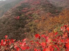 -水峪民俗村