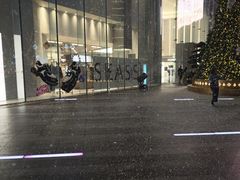-宝藏绿洲(万象前海店)