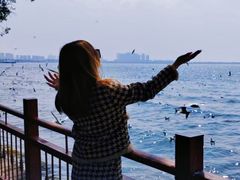 -滇池海埂公园