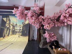 -盘子女人坊生日照·摄影馆(华强店)