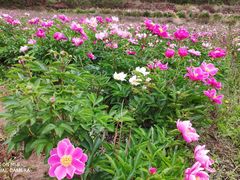 -金堂县云顶石城风景区