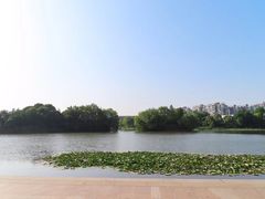 -新江湾城公园