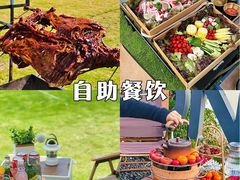 -南海湾森林生态园