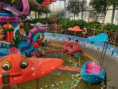 -南宫五洲植物乐园