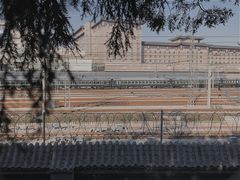 -莲花池公园