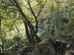 -天门沟九州驿站树上汤泉