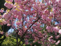 -南通博物苑-崇川人民公园