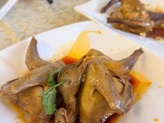 红油小白凤-百利鸽王(紫薇路店)