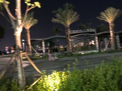 -海沧湾公园
